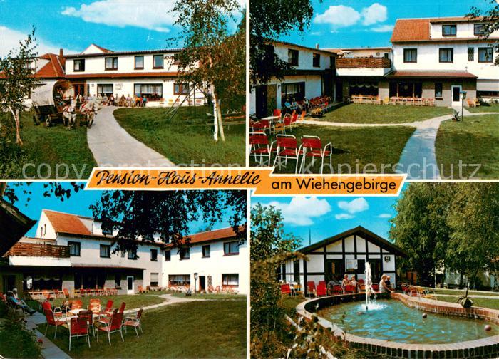 Bad Holzhausen Luebbecke Pension Haus Annelie Pferdewagen Freiterrasse Pool
