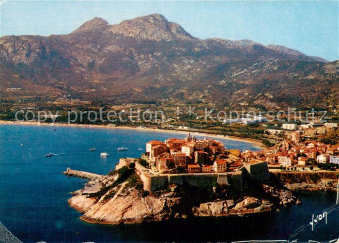Calvi La citadelle et l immense plage bordée de pins vue aérienne