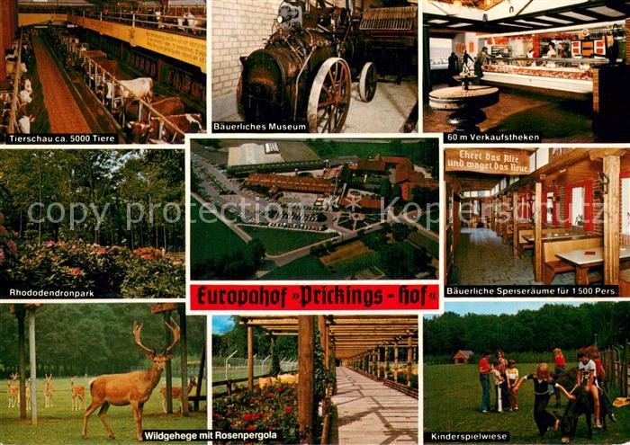 Sythen Europahof Prickings-Hof Bauernhof Museum