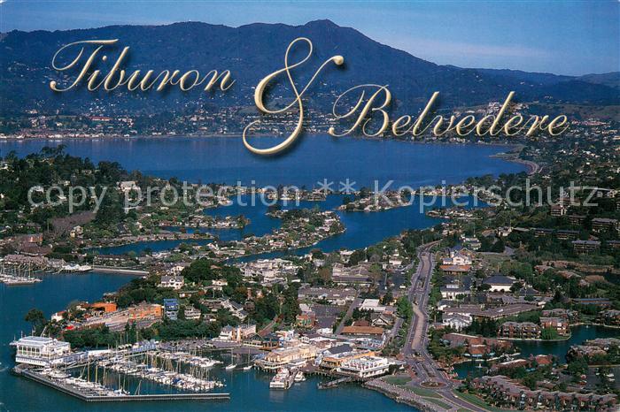 Tiburon California and Belvedere Island with Mount Tamalpias aerial view