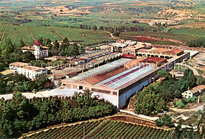 Cavas Codorniu ES Vista aérea