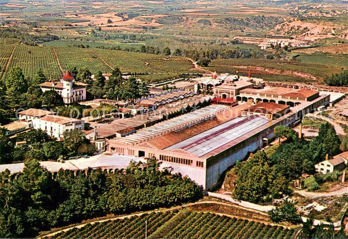 Cavas Codorniu ES Fliegeraufnahme