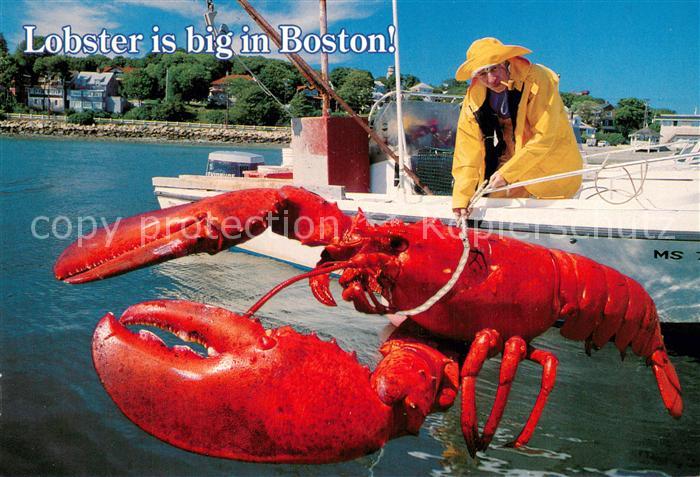 Boston Massachusetts Lobster Fishing