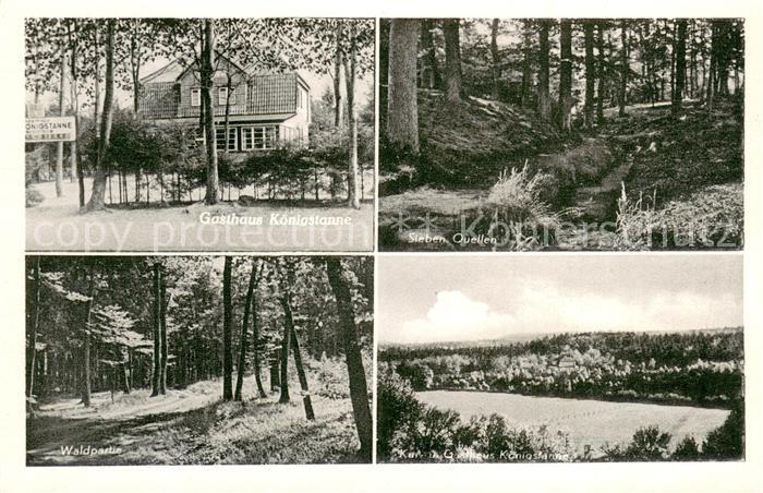 Wingst Kur und Gasthaus Koenigstanne Sieben Quellen Waldpartie Panorama