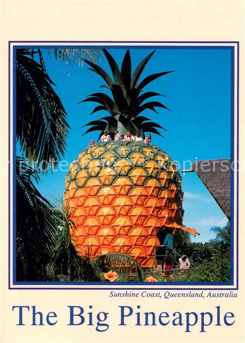 Queensland The Big Pineapple Sunshine Plantation