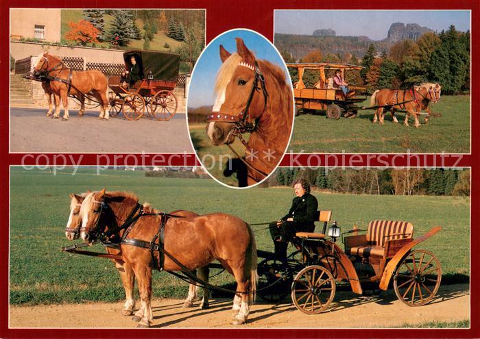 Reinhardtsdorf Bad Schandau Kutsch und Kremserfahrten Frank Fischer Details