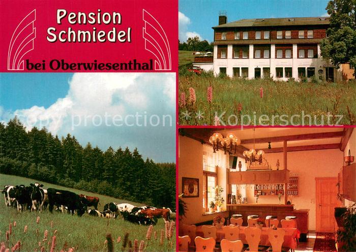 Oberwiesenthal Erzgebirge Pension Schmiedel Gaststube Rinderherde Bergwiese