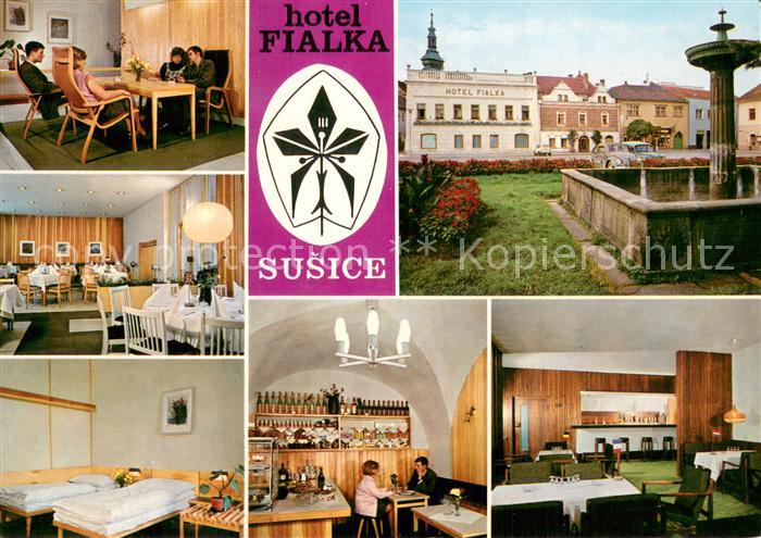Susice CZ Hotel Fialka Gastraeume Brunnen Zimmer Bar