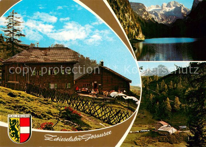 Gosauschmied Zwieselalm mit Gosausee Hohem Dachstein und Donnerkogel