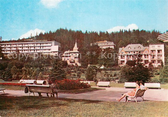 Krynica  Zdroj PL Fragment udrowiska