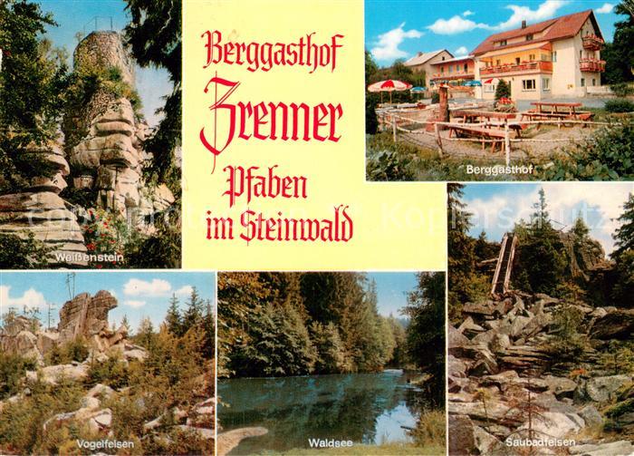 Pfaben Steinwald Berggasthof Zrenner Weissenstein Vogelfelsen Waldsee Saubadfels