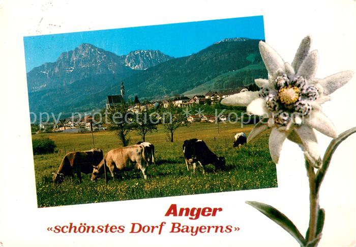Anger Bad Reichenhall Panorama mit Hochstaufen