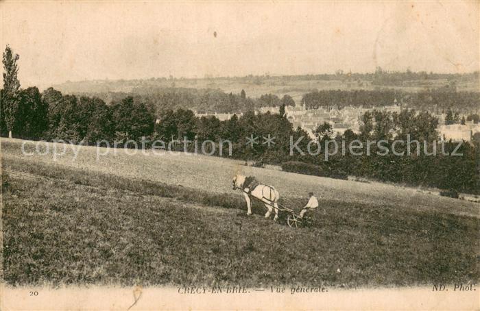 Crecy en Brie Vue Generale Paysage