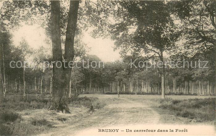 Brunoy 91 Un carrefour dans la forêt