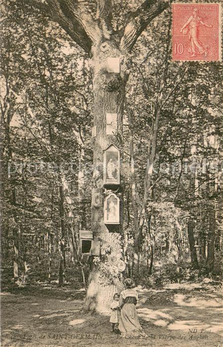 Foret de Saint-Germain 78-en-Laye Le Chene de la Vierge des Anglais