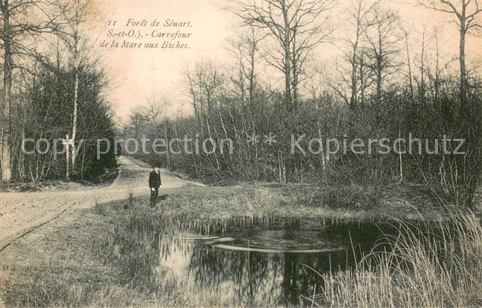 Foret de Senart 91 Carrefour de la Mare aux Biches