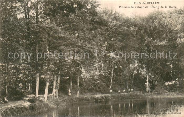 Belleme 61 Foret de Belleme Promenade autour de l’Etang de la Herse