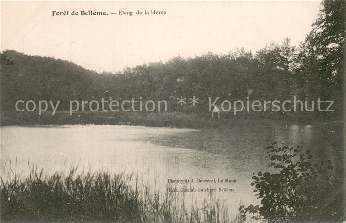 Foret de Belleme 61 Etang de la Herse