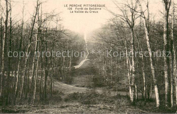 Belleme 61 Foret de Belleme La Vallee du Creux