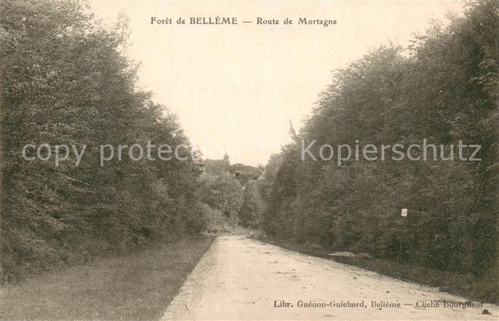 Belleme 61 Foret - Route de Mortagne