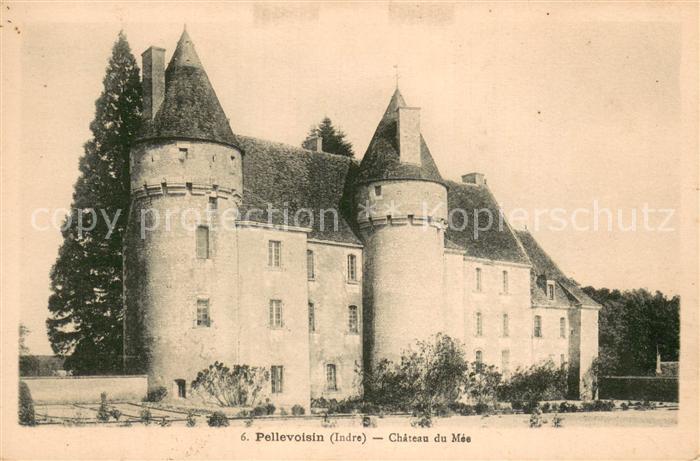 Pellevoisin 36 Indre Chateau du Mes