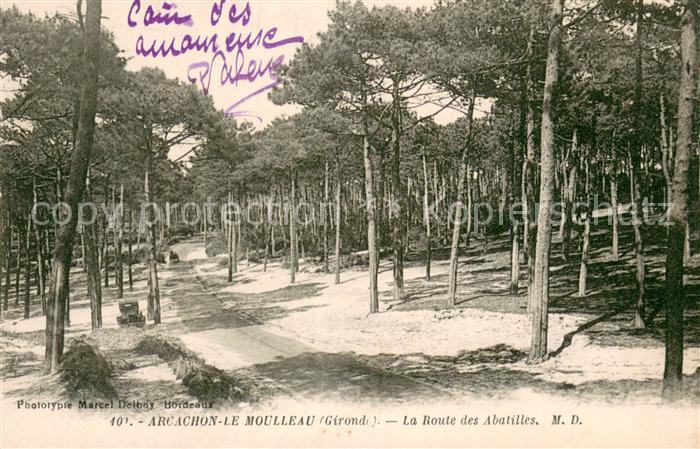 Arcachon 33 La Route des Abatilles