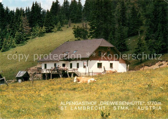 Lambrecht Steiermark Sankt Alpengasthof Dreiwiesenhuette Aussenansicht