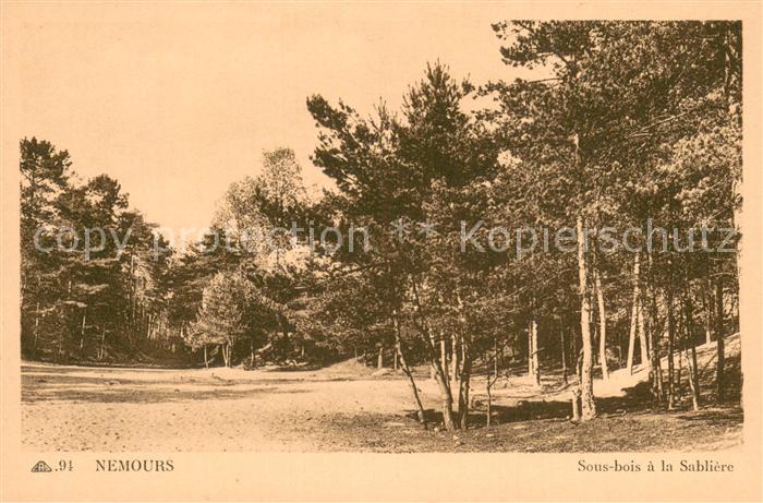 Nemours 77 Sous bois a la Sabliere