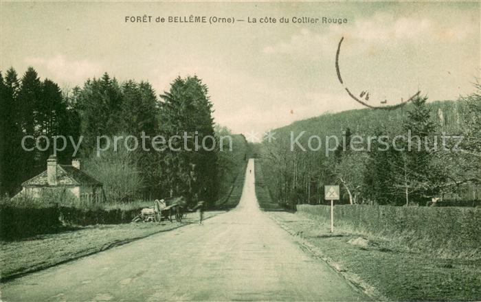 Foret de Belleme 61 La cote du Collier Rouge