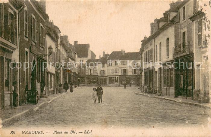 Nemours 77 Place au Ble