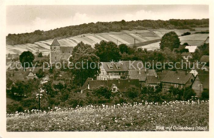 Grillenberg Ortsansicht mit Kirche