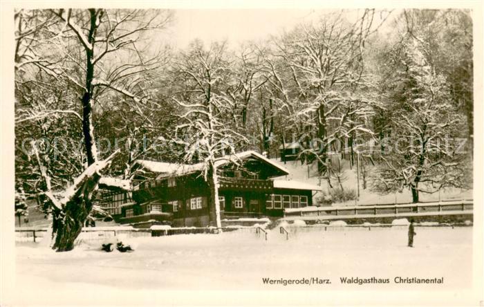 Wernigerode Harz Waldgasthaus Christianental im Winter
