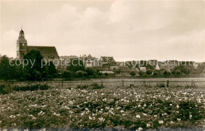 Harzgerode Ortsansicht mit Kirche