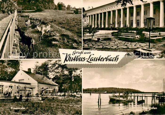 Lauterbach Putbus Wildgehege Haus Goor Rosencafe Am Hafen