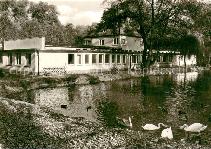 Heiligenstadt Eichsfeld Kneippbad Schwanenweiher