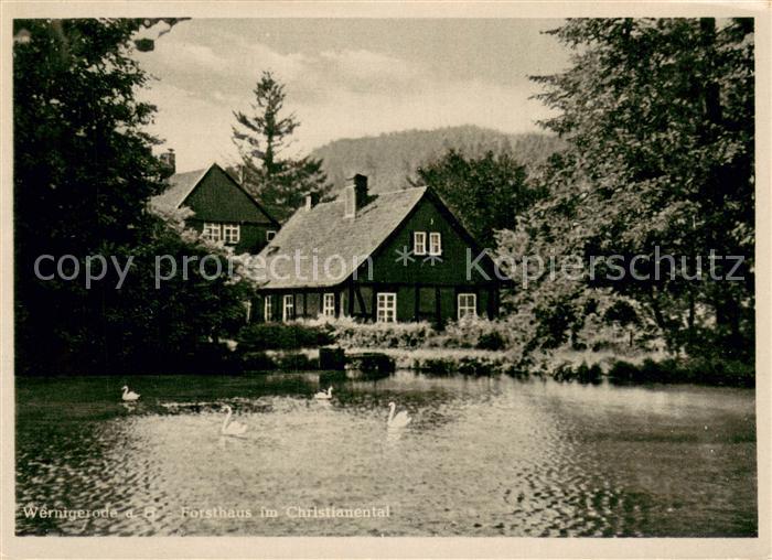 Wernigerode Harz Forsthaus im Christianental Schwanenteich