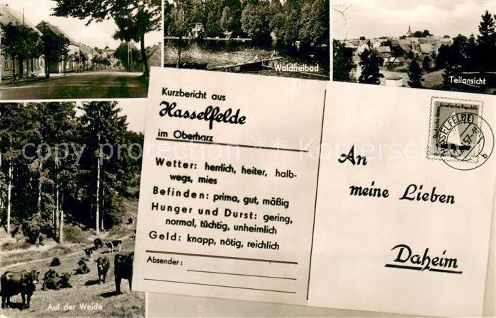 Hasselfelde Waldfreibad Teilansichten Auf der Weide