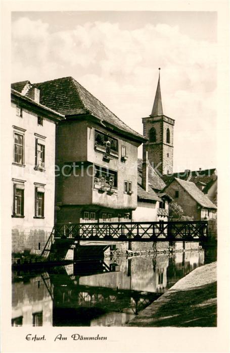 ERFURT  CITY Am Daemmchen