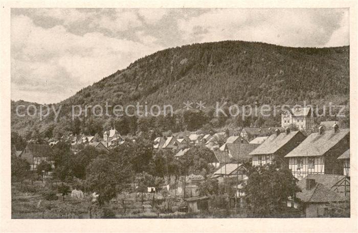 Ilsenburg Harz Teilansicht