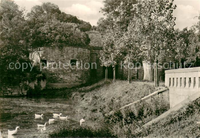 Heldrungen Krummes Tor Schwanenteich