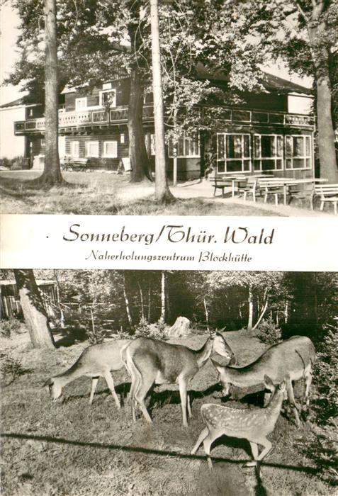 Sonneberg Thueringen Naherholungszentrum Blockhuette Wildpark