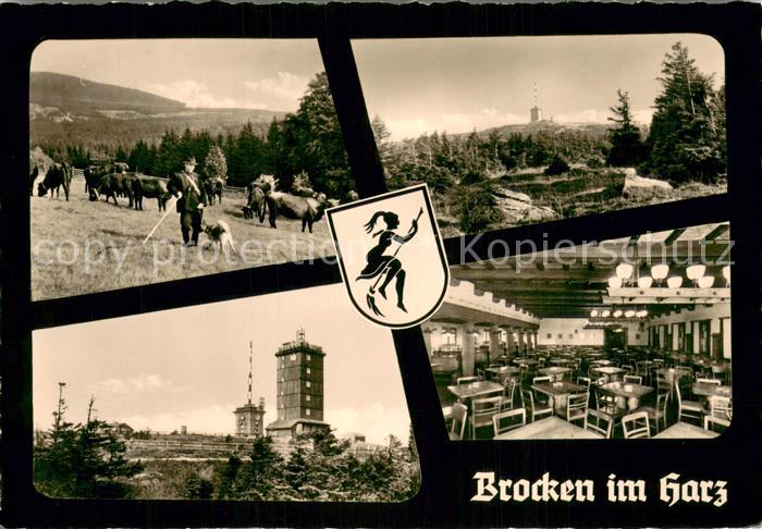 Brocken Harz Schaefer mit Herde Brocken Hotel Gastraeume