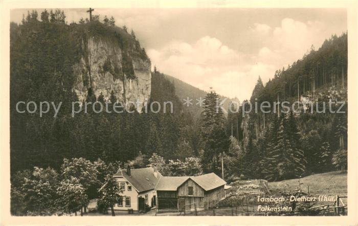 Tambach-Dietharz Falkenstein