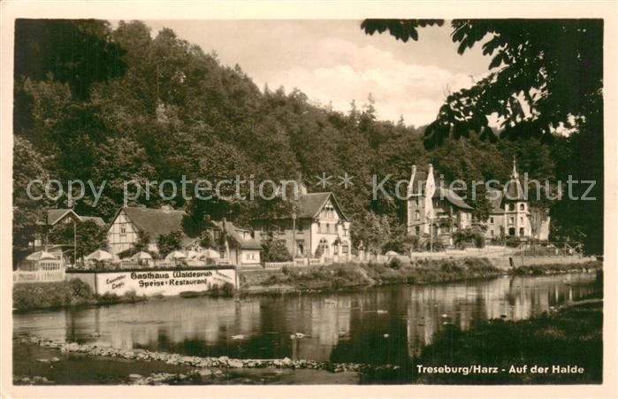 Treseburg Harz Auf der Halde