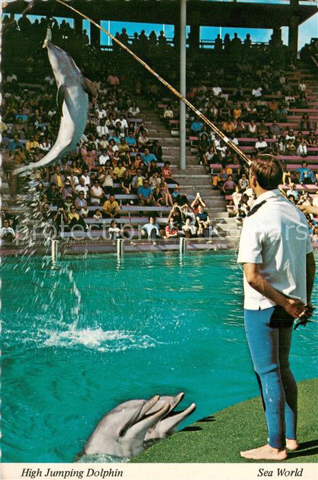 San Diego California High Jumping Dolphin Sea World