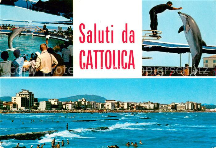 Cattolica  Provincia Rimini Delphin Seeaquarium