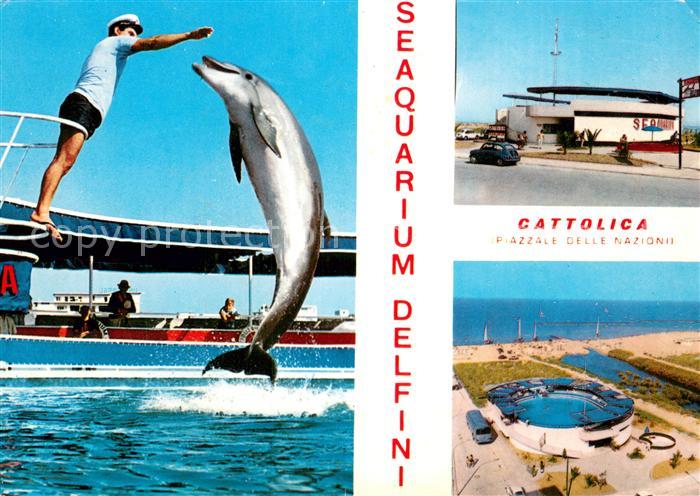 Cattolica  Provincia Rimini Delphin Seeaquarium