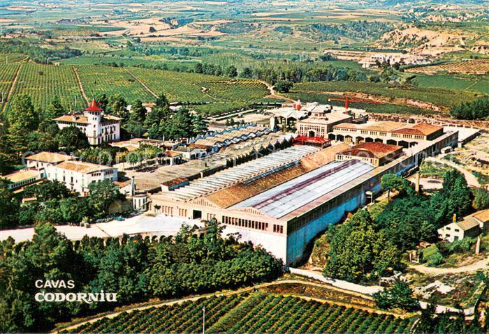 Cavas Codorniu ES Fliegeraufnahme