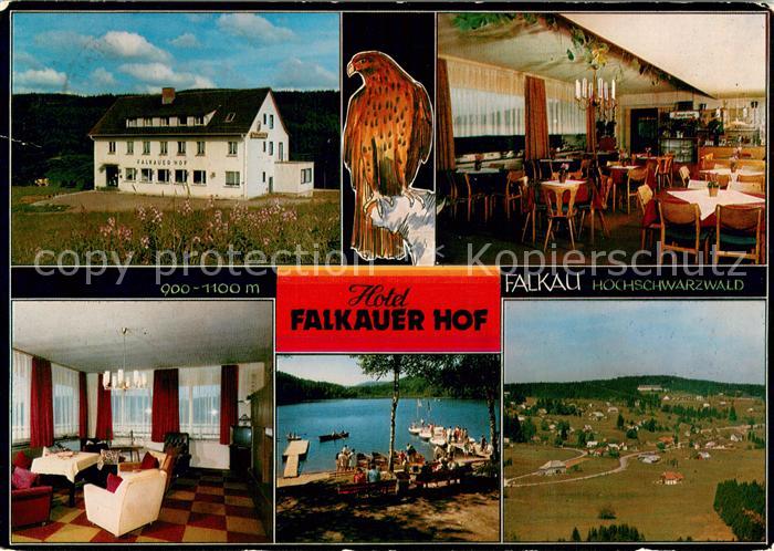 Falkau Hotel Falkauer Hof Gastraeume Titisee Fliegeraufnahme