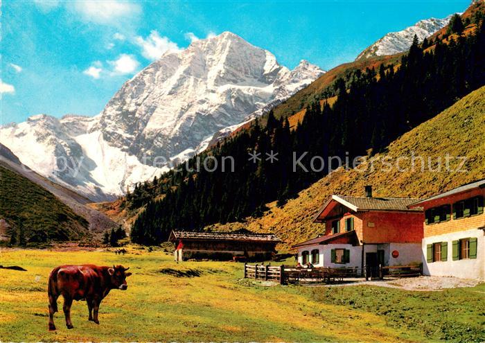 Stubaital Pinnisalm mit Habicht